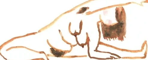 Lineseries Janu Sirsasana