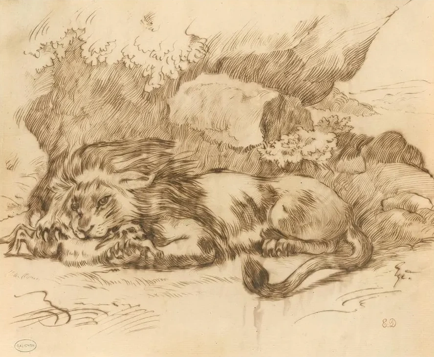 Lion Devouring a Rabbit