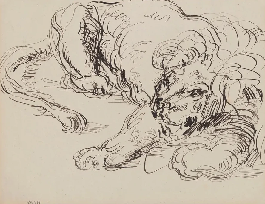 Lion Resting