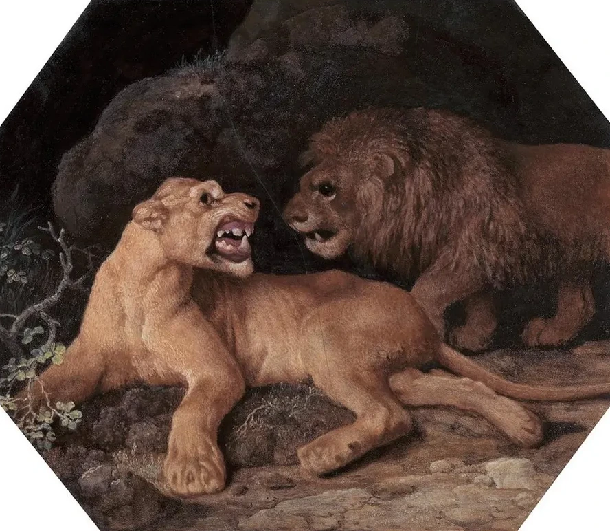 Lion and Lioness