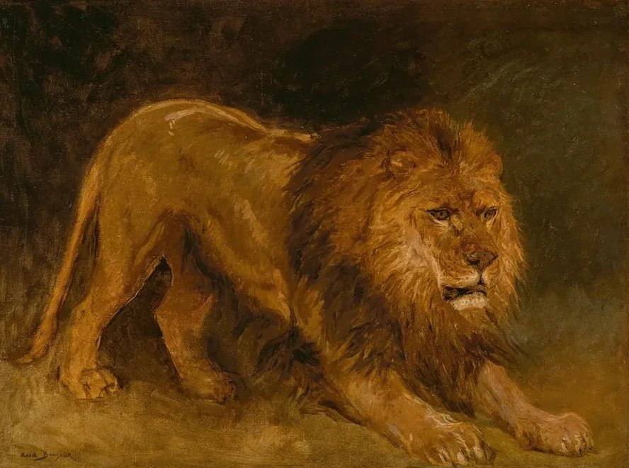 Lion Guettant Une Proie