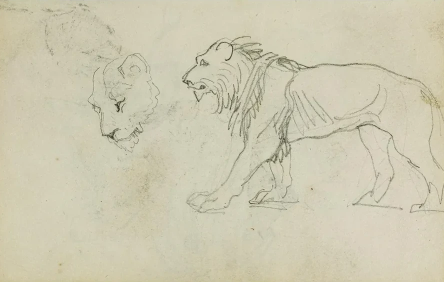 Lion Walking, Head of a Lioness