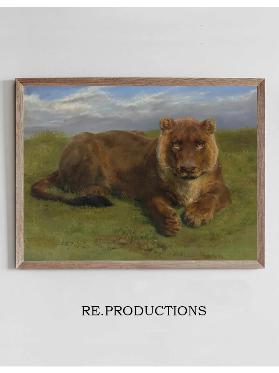 Lioness At Rest
