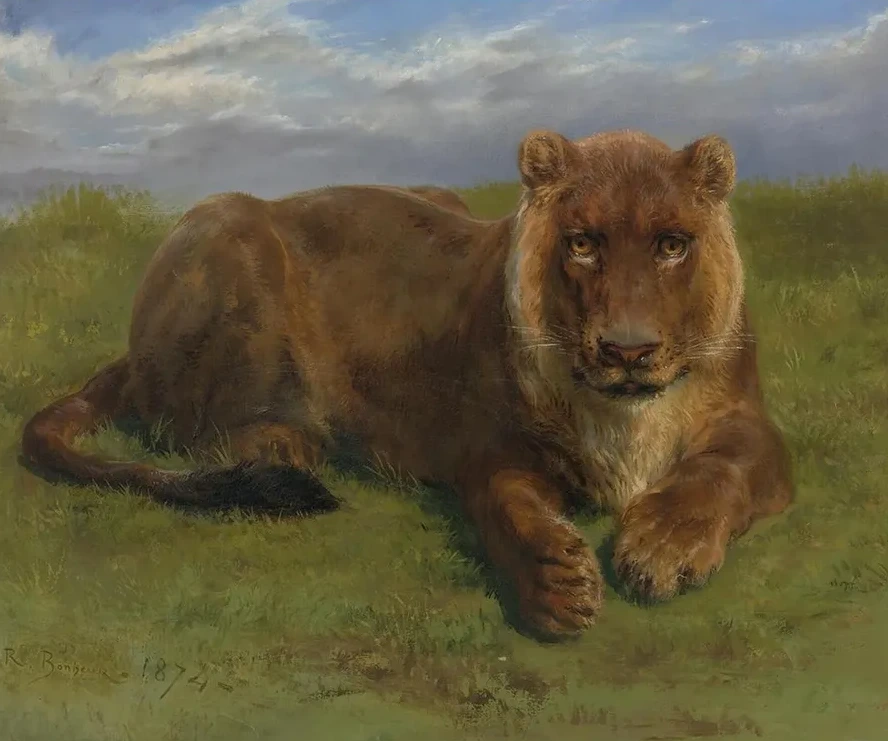 Lioness At Rest