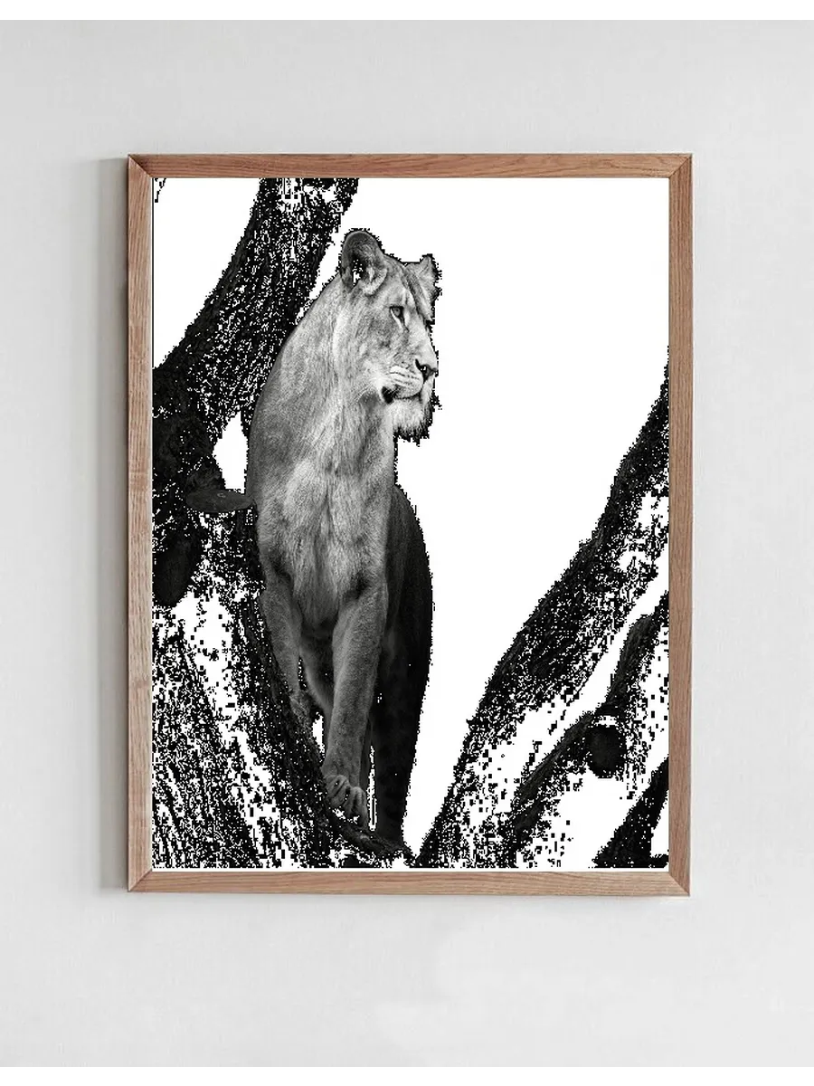 Lioness