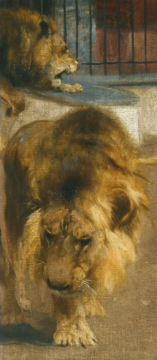 Lions