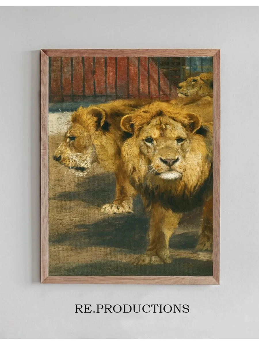 Lions