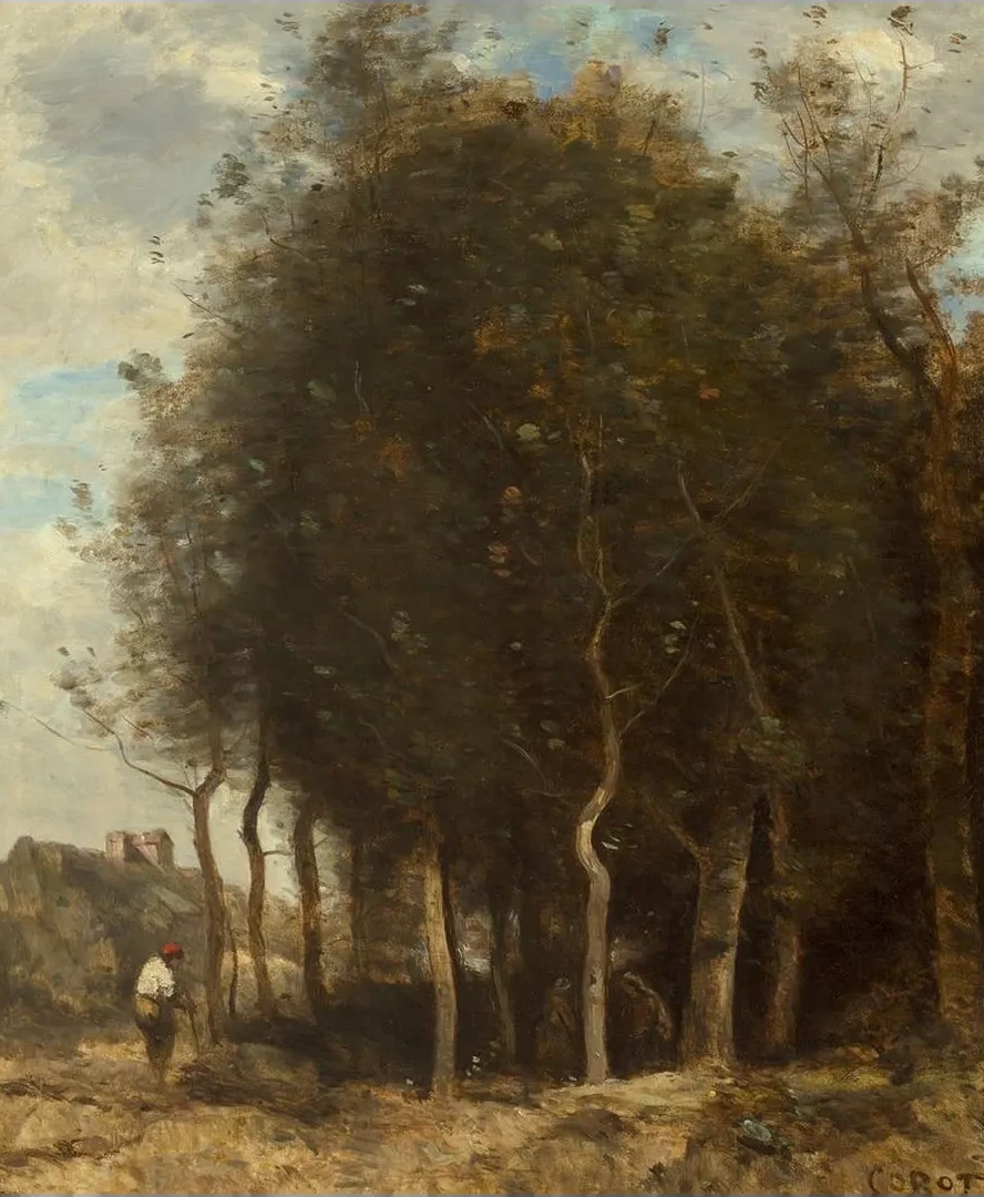 Lisi Re de Bois