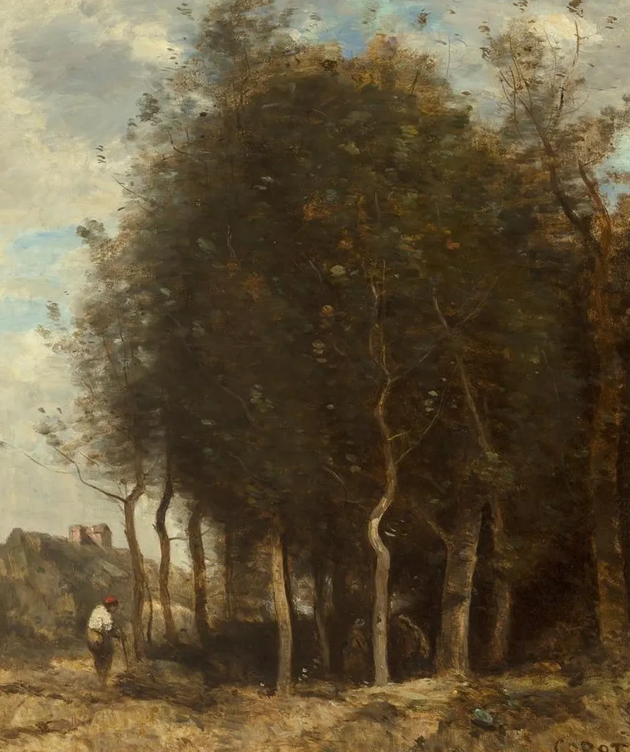 Lisi Re de Bois