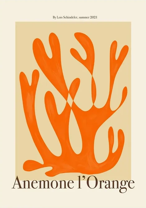 Lois - Anemone I'Orange