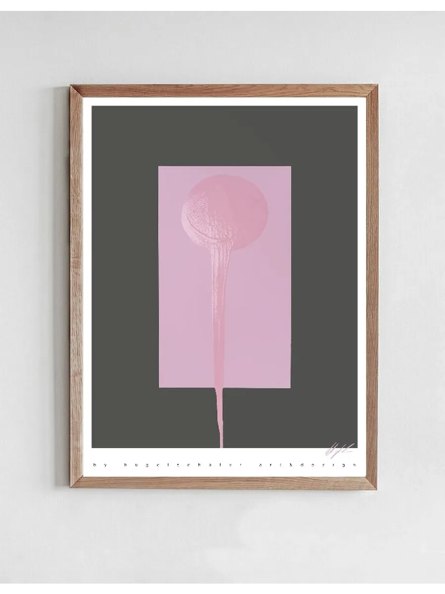 Lollipop
