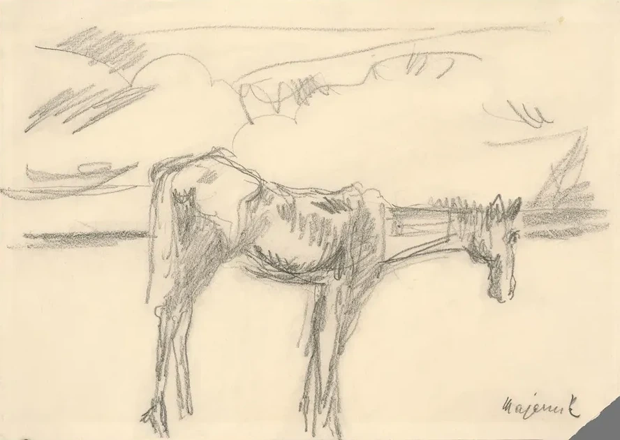 Lonely Horse
