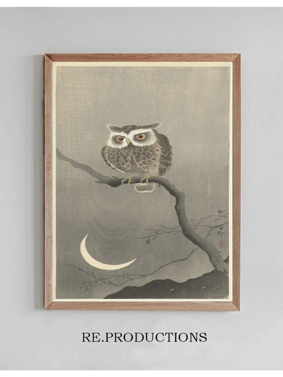 Long - Eared Owl on Bare Tree Branch