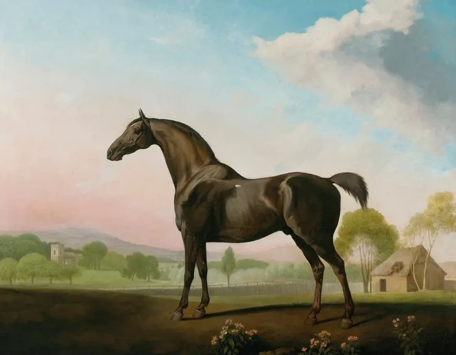 Lord Grosvenor's Sweet William In A Landscape