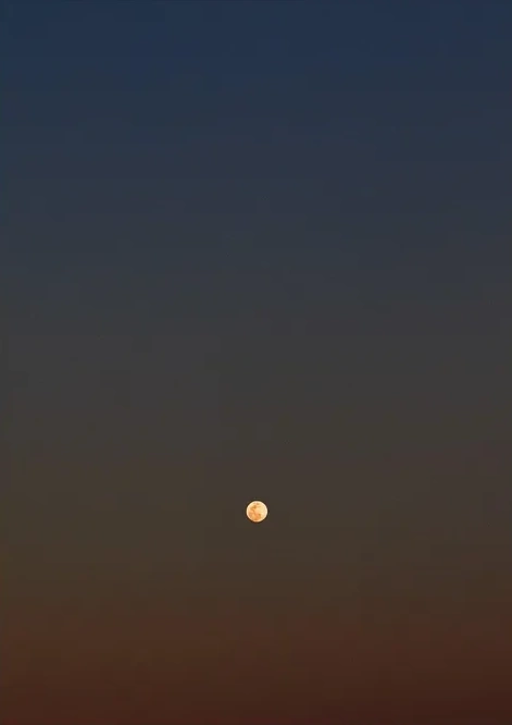 Lost in Space
