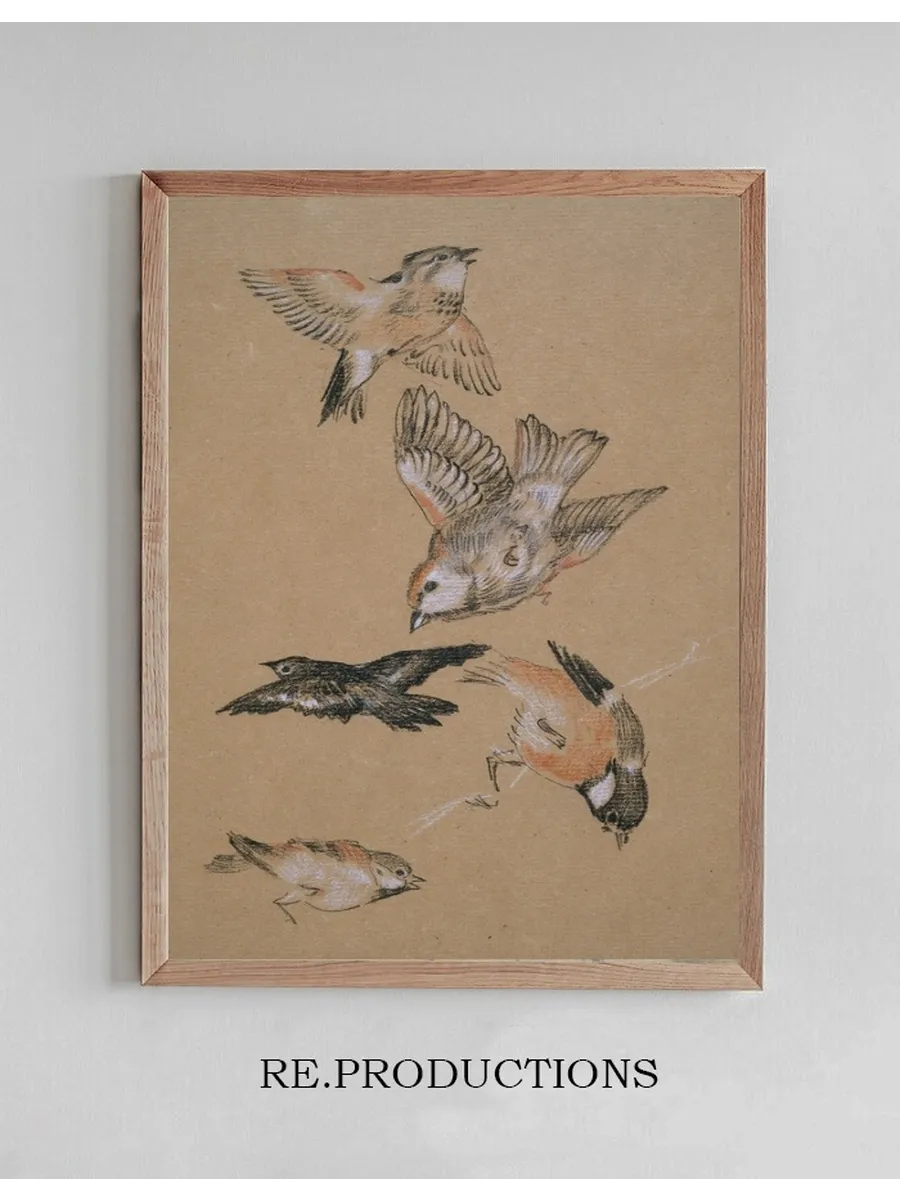 Love Leading the Pilgrim Study of Birds Finches