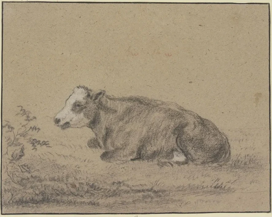 Lying Cow to the Left