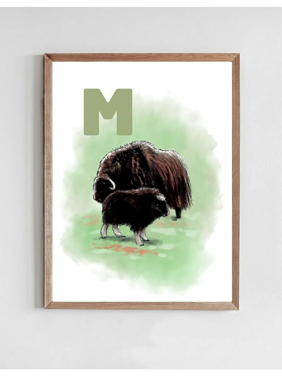M Green Moskusokse
