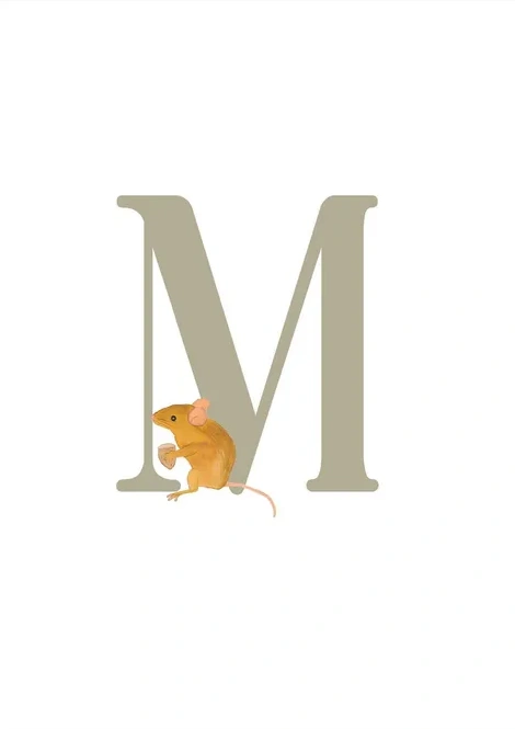 M - Mus
