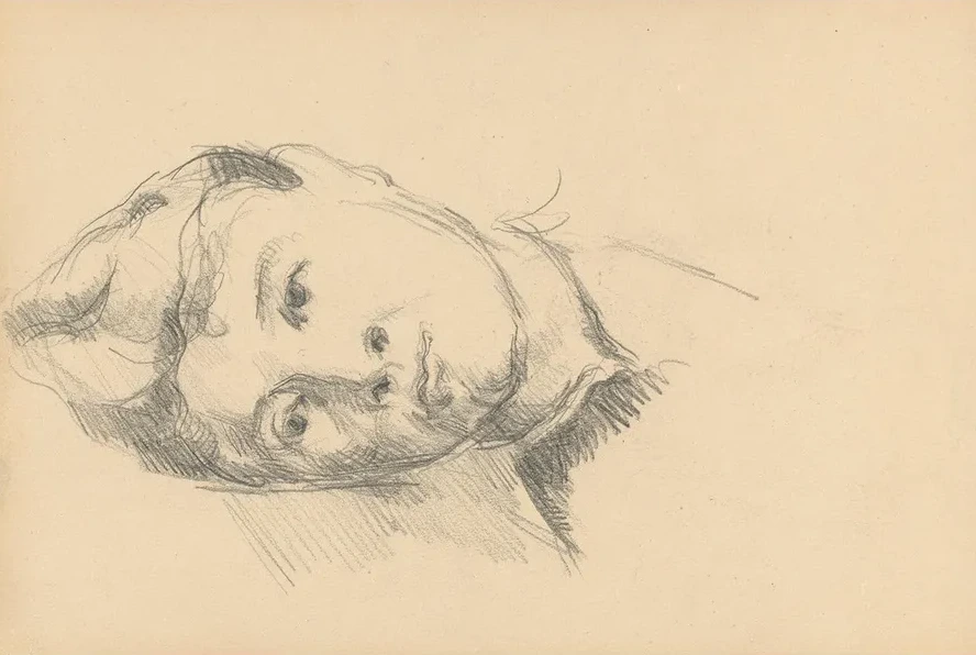Madame Cezanne