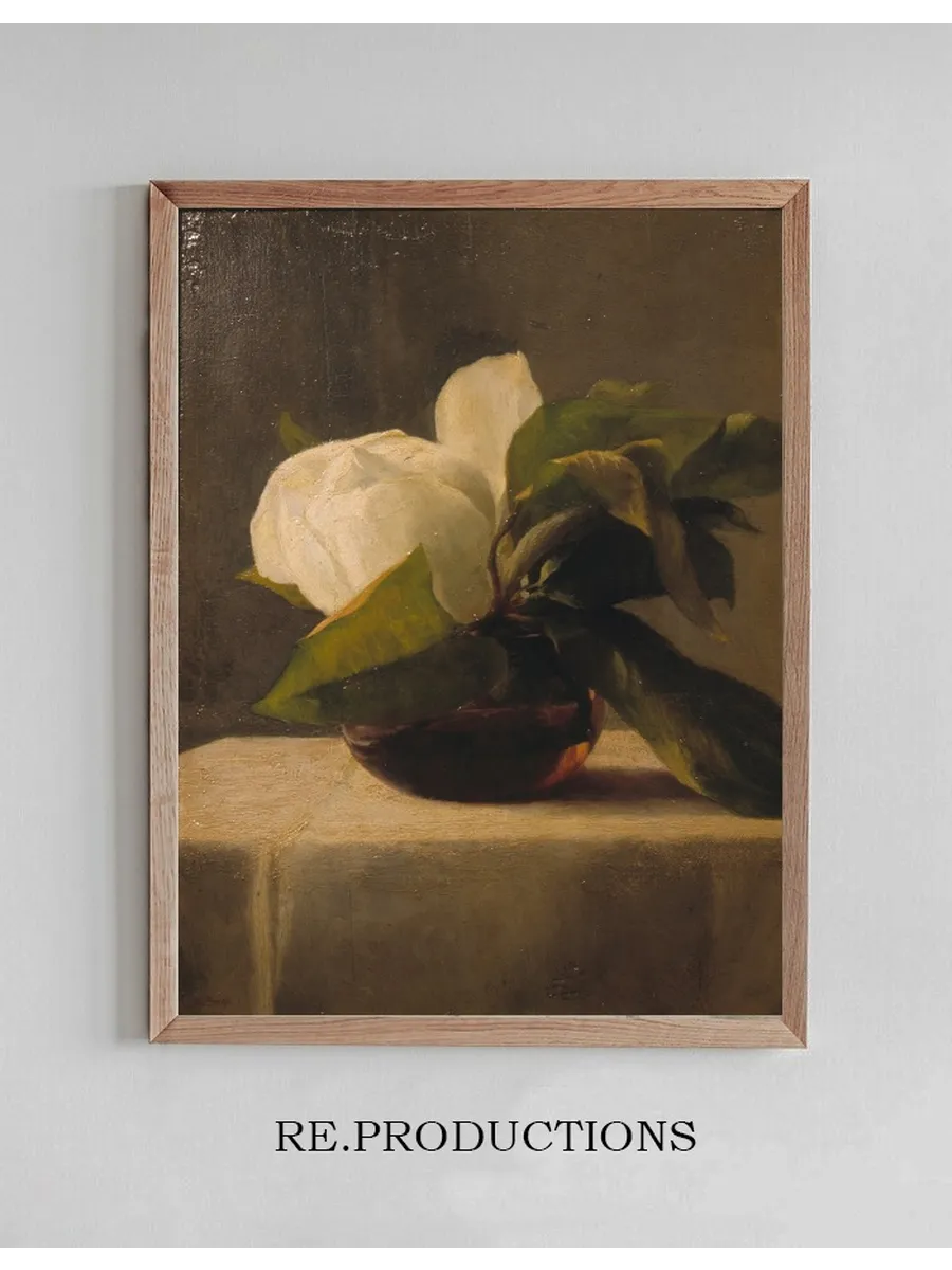 Magnolia