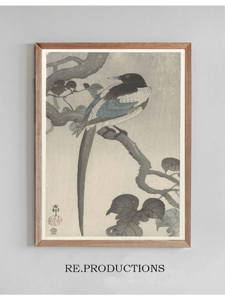 Magpie on Tree Branch
