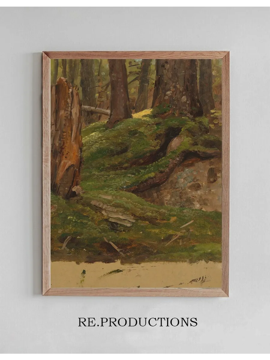 Maine Woods
