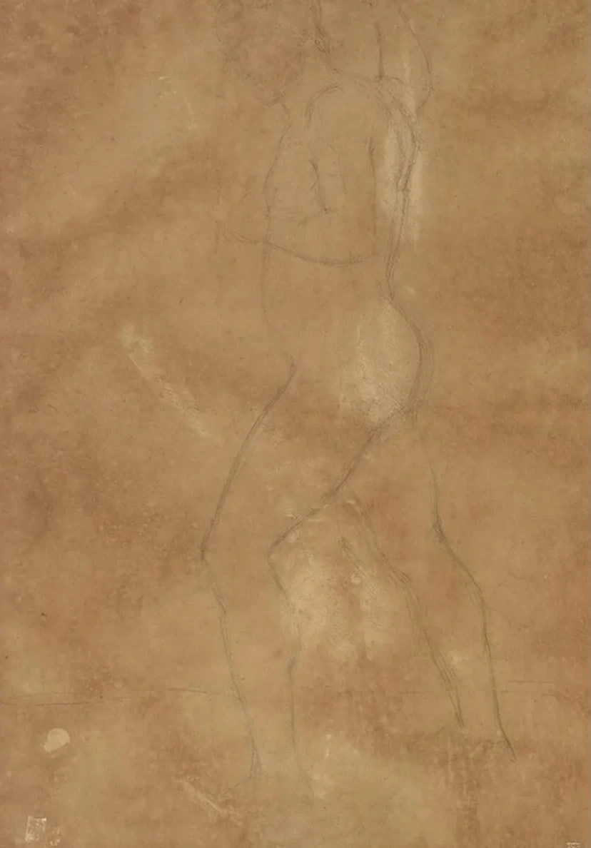 Male Nude Walking