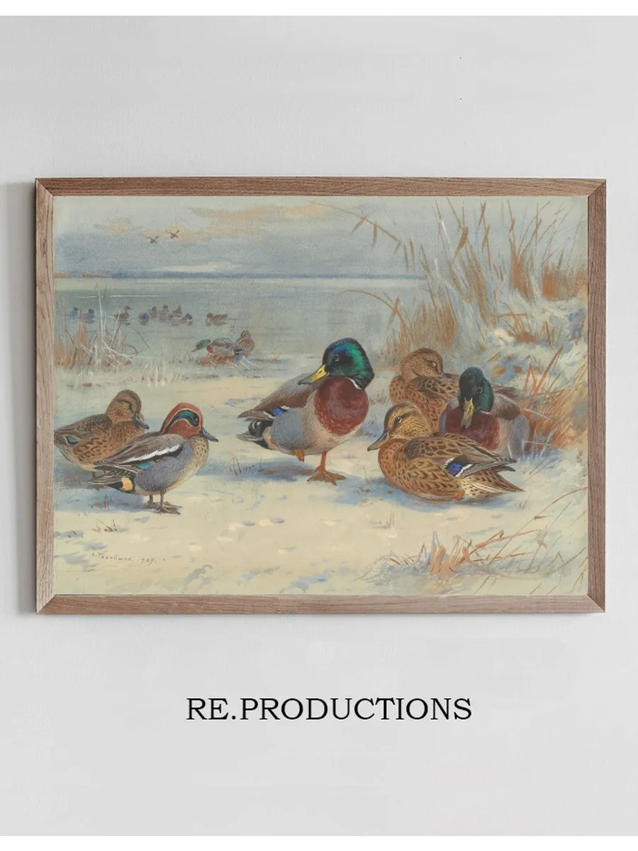 Mallard and Teal in the Snow