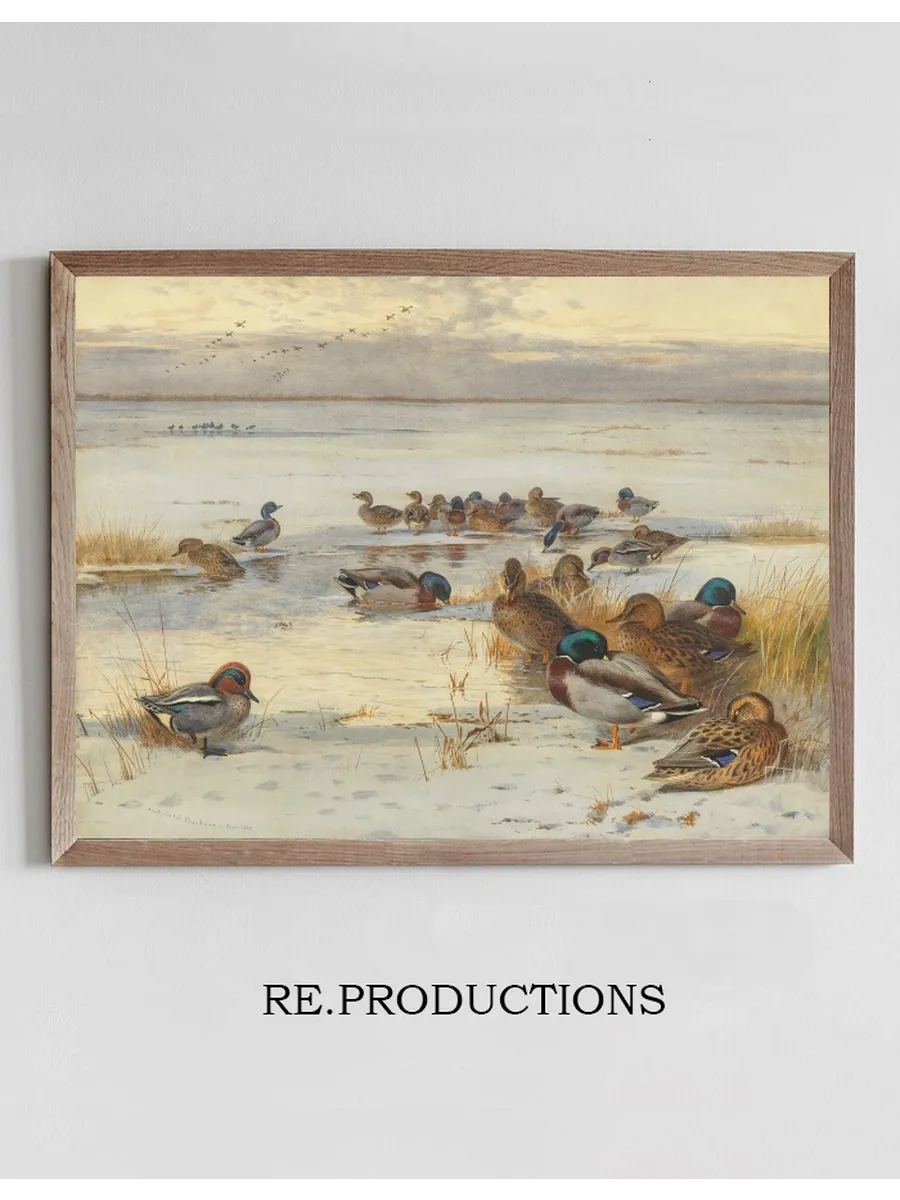 Mallard and Teal on a Snowy Marsh