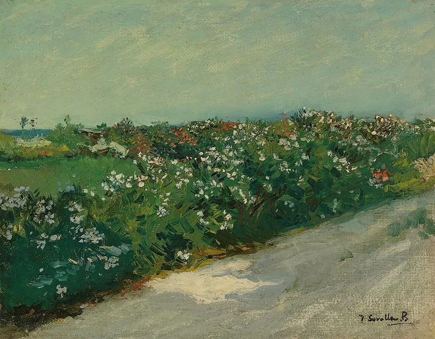 Malvarrosa