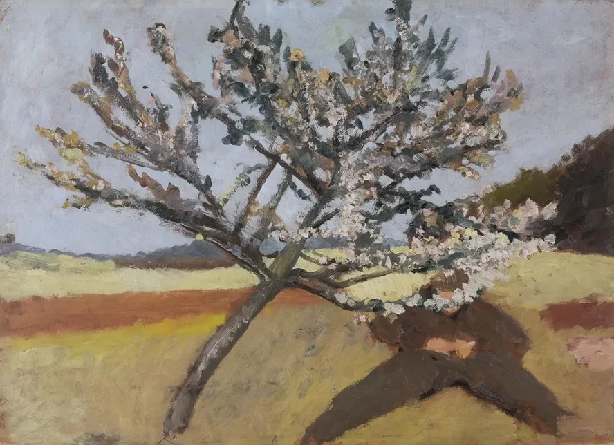 Man Lying Beneath a Blossoming Tree