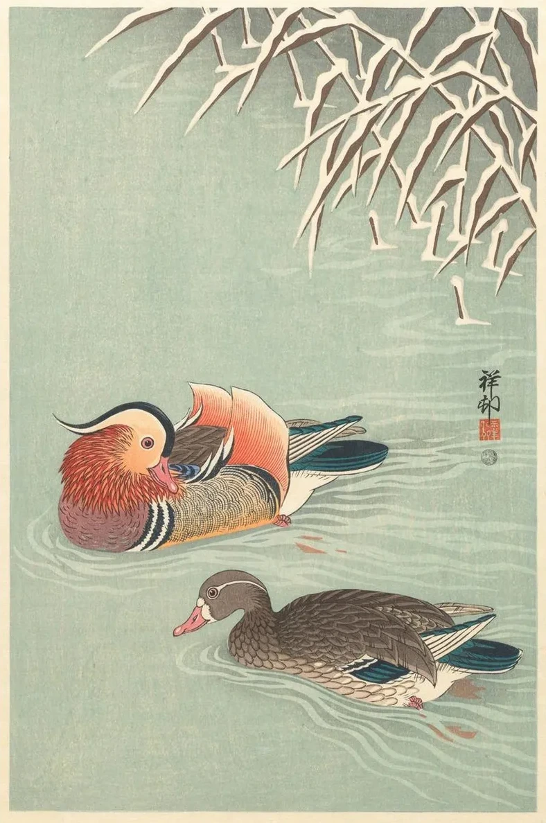 Mandarin Ducks
