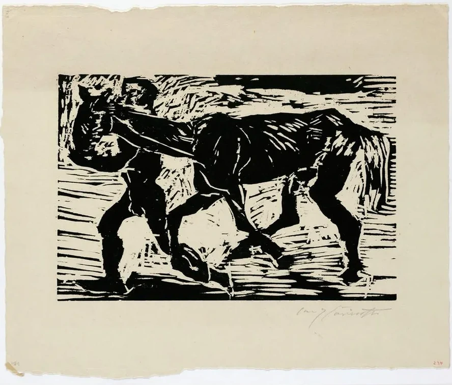 Mann Und Pferd