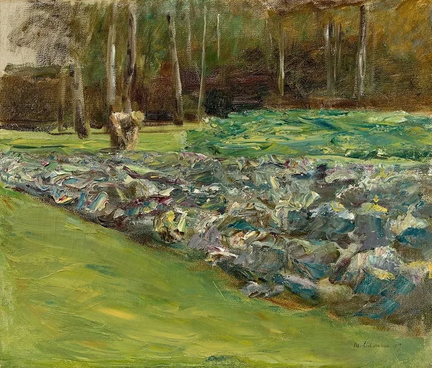 Mann IM Kohlfeld Wannseegarten