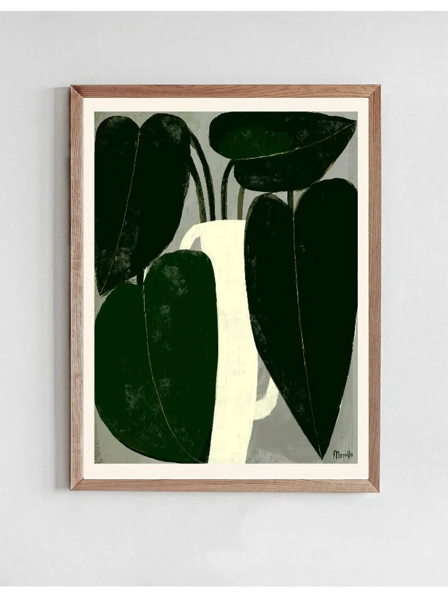 Marco - Plant IIII