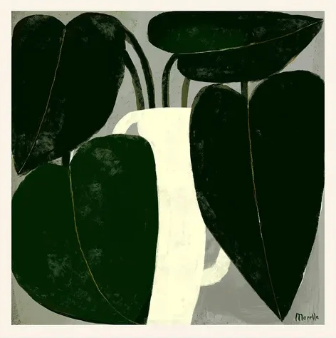 Marco - Plant IIII