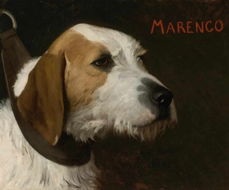 Marengo