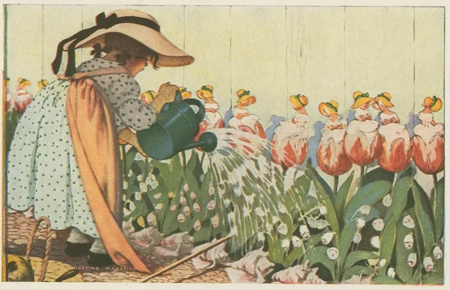 Mary, Mary, Quite Contrary, How Does Your Garden Grow