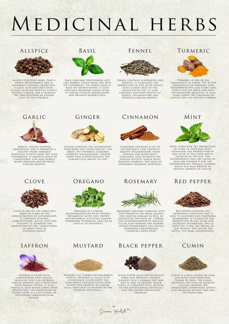 Medicinal Herbs