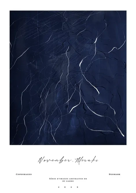 Meraki 02