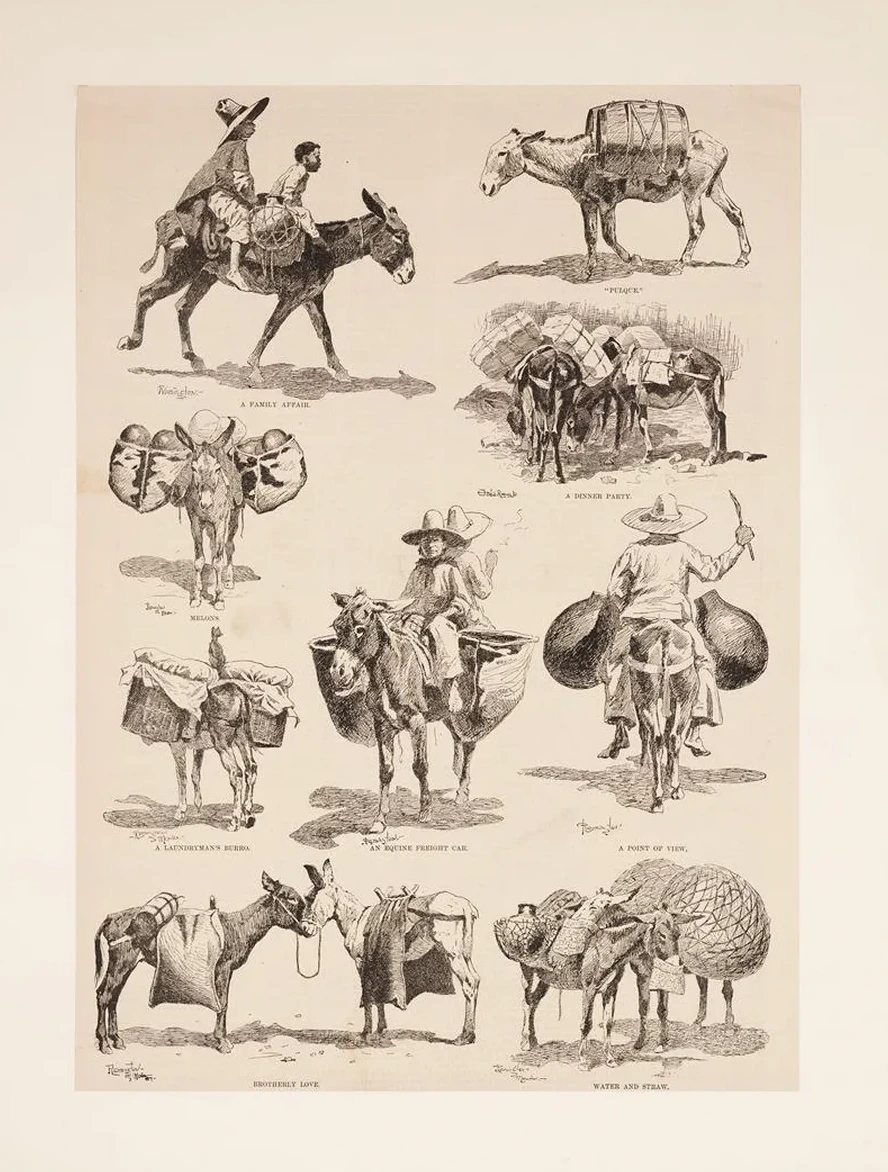 Mexican Burros