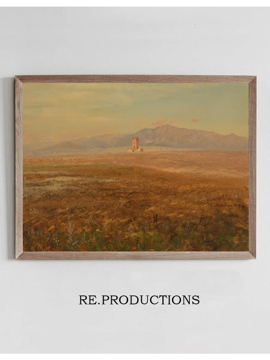 Mexican Landscape
