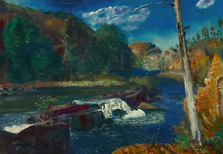 Mill Dam