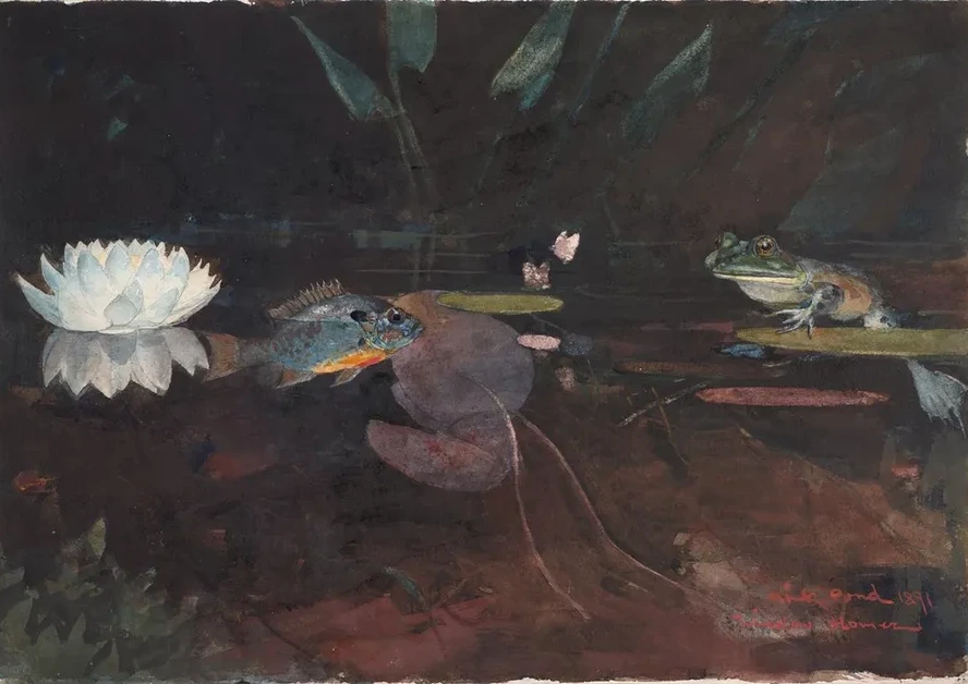 Mink Pond