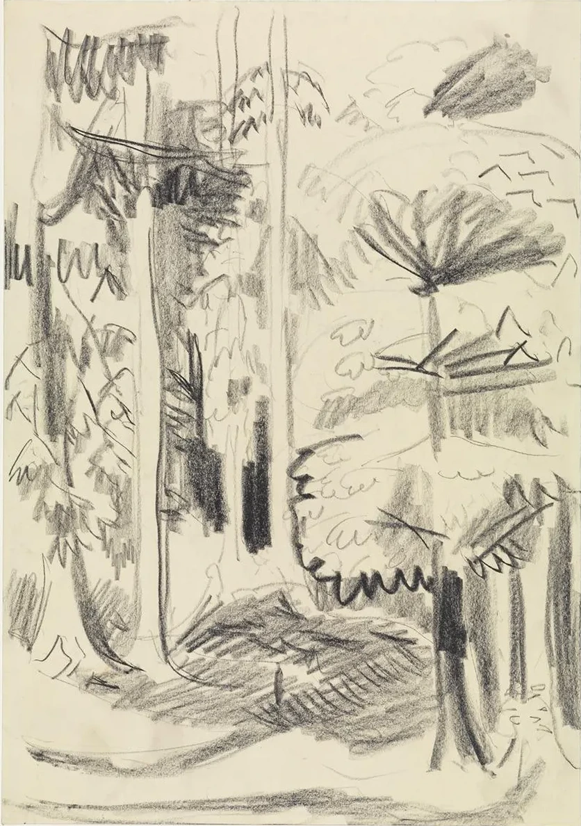 Mischwald