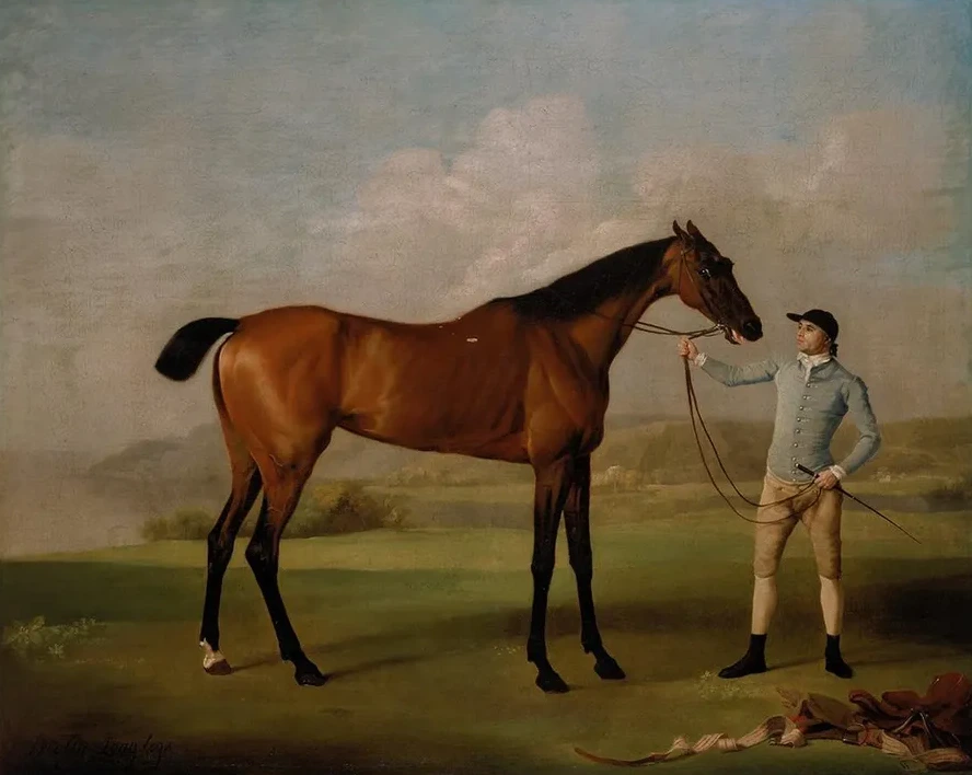 Molly Long - Legs with Her Jockey