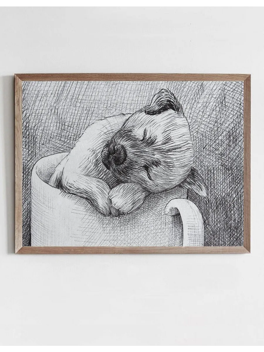 Monday Dog