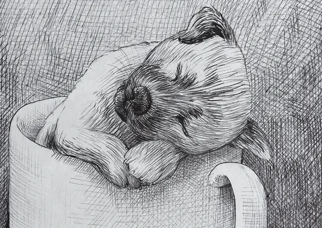 Monday Dog