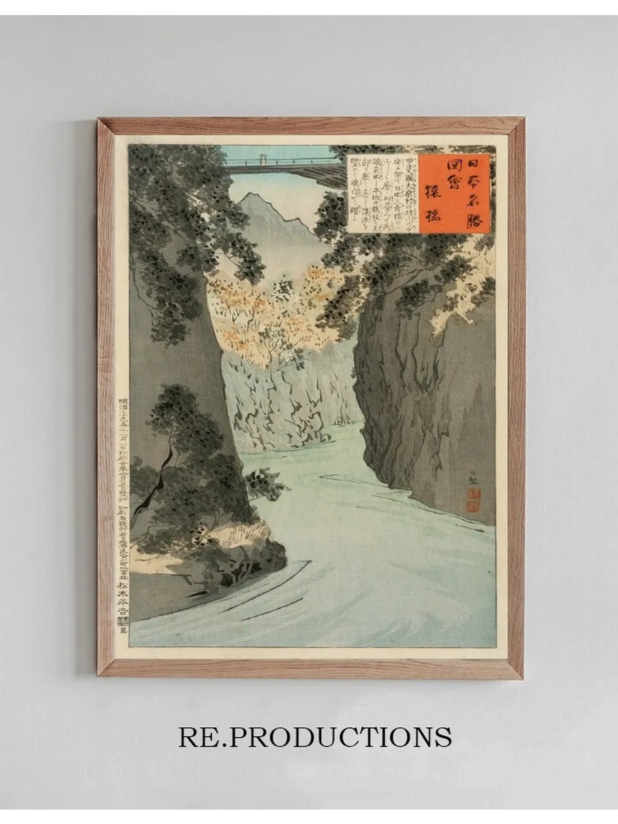 Monkey Bridge
